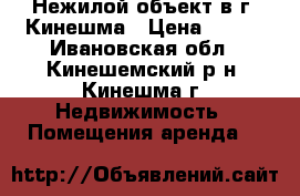 Нежилой объект в г. Кинешма › Цена ­ 100 - Ивановская обл., Кинешемский р-н, Кинешма г. Недвижимость » Помещения аренда   